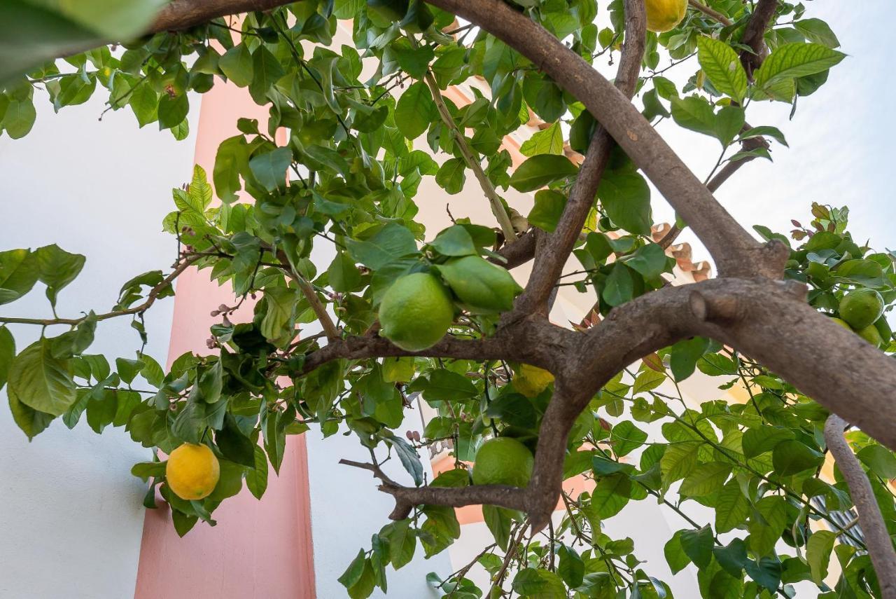 Villa Angeles Marbella Ngoại thất bức ảnh